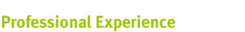 Professional Experience